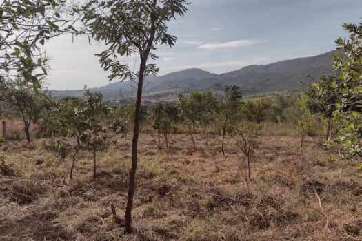 TERRENO ÁGUAS SANTAS – 900 M²